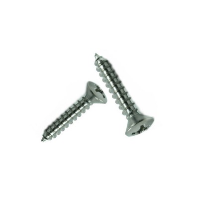 stainless steel oval  phillips head self tapping screw