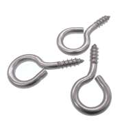 Customized Stainless Steel Eye Hook Screw